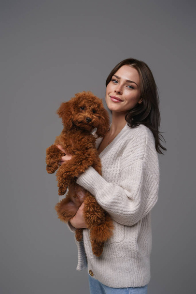 Charming girl in a white sweater holding her beloved brown toy poodle against a gray studio backdrop - Photo, Image