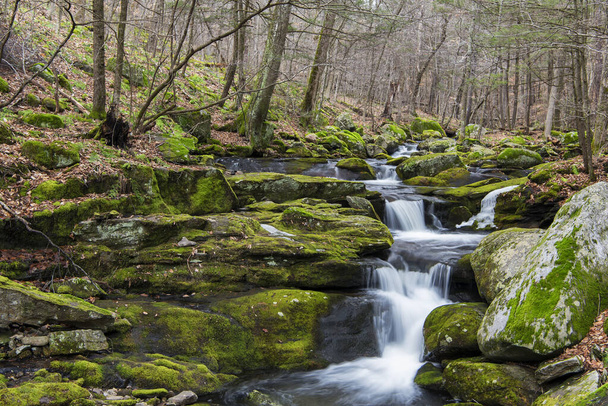 Небольшой каскад, протекающий по скалам на водопаде, ручей в Западном Хартленде, Коннектикут. - Фото, изображение