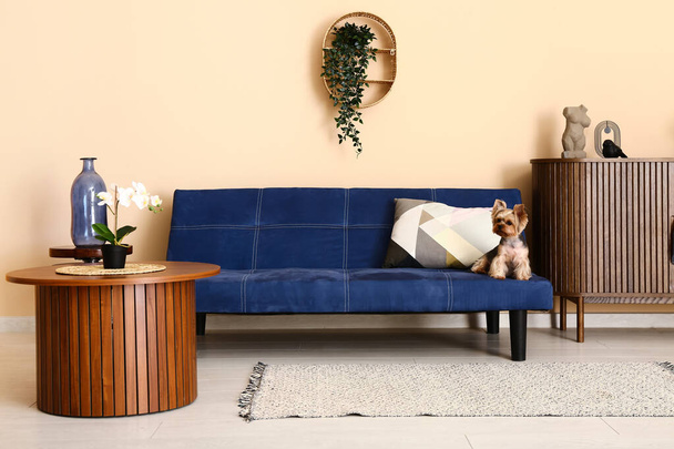 Lindo perro pequeño Yorkshire terrier sentado en el sofá en la sala de estar - Foto, Imagen