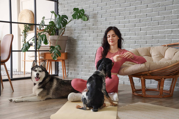 Sportliche junge Frau trainiert mit ihren Hunden zu Hause - Foto, Bild