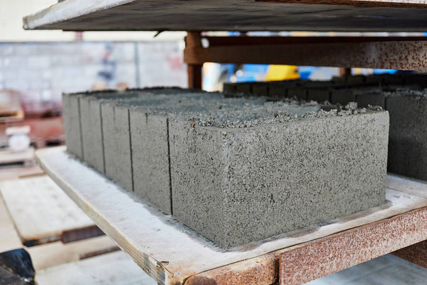 полые бетонные стеновые блоки после литья в цехе - Фото, изображение