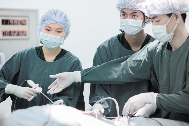 Ветеринарний лікар в операційній кімнаті для лапароскопічної хірургії
 - Фото, зображення
