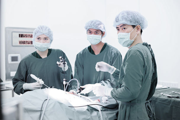 腹腔鏡手術室の獣医師 - 写真・画像