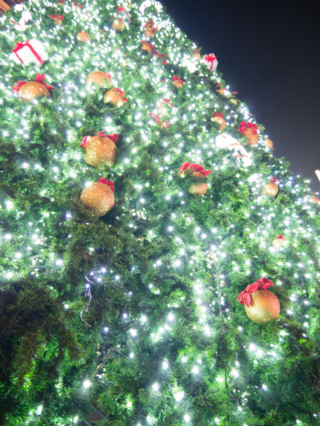 grand arbre de Noël - Photo, image