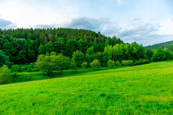 Yaz keşfi turu Steinbach-Hallenberg yakınlarındaki Thuringian Ormanı 'nda - Fotoğraf, Görsel
