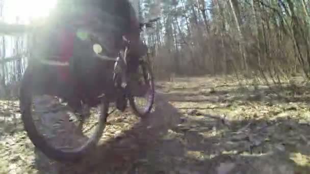 Bicycle walk on the wood. POV clip rear view - Footage, Video
