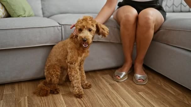 若い白人女性と犬が一緒に家でソファーに座っている - 映像、動画