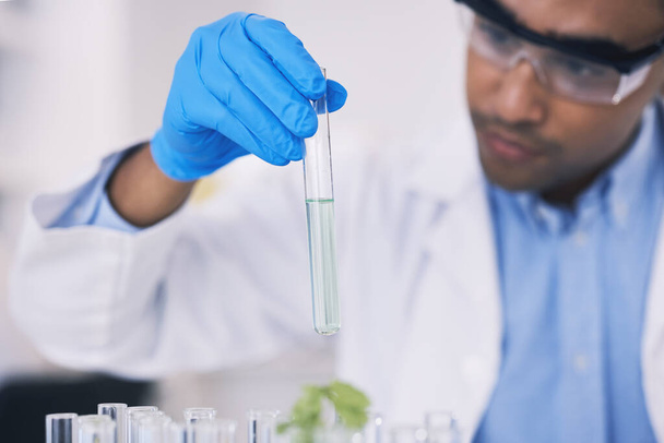Science, nature and man with test tube in laboratory, research and thinking with plants. Biotechnology, pharmaceutical study and scientist with leaf, lab technician checking green solution in glass - Photo, Image