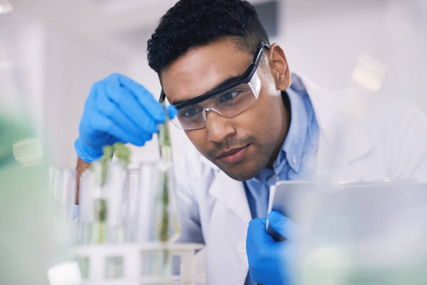 Research, plants and man with test tube in laboratory, science and thinking with nature. Biotechnology, pharmaceutical study and scientist with leaf, lab technician checking green solution in glass - Photo, Image