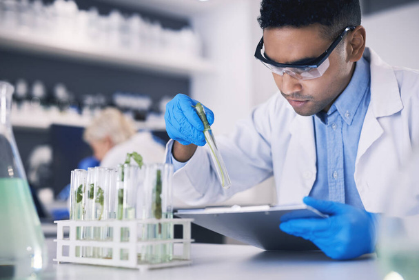 Science, plants and man with checklist in laboratory, research and thinking with nature. Biotech, pharmaceutical study and scientist with clipboard, lab technician checking solution in test tube - Photo, Image
