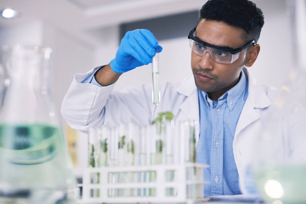 Επιστήμη, φύλλα και άνθρωπος με δοκιμαστικό σωλήνα στο εργαστήριο, έρευνα και σκέψη με τη φύση. Βιοτεχνολογία, φαρμακευτική μελέτη και επιστήμονας με φυτά, τεχνικός εργαστηρίου έλεγχο πράσινο διάλυμα σε γυαλί. - Φωτογραφία, εικόνα