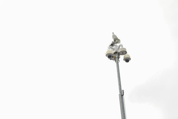 white background with a black metal detector - Foto, immagini
