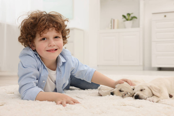 Little boy lying with cute puppies on white carpet at home - Φωτογραφία, εικόνα