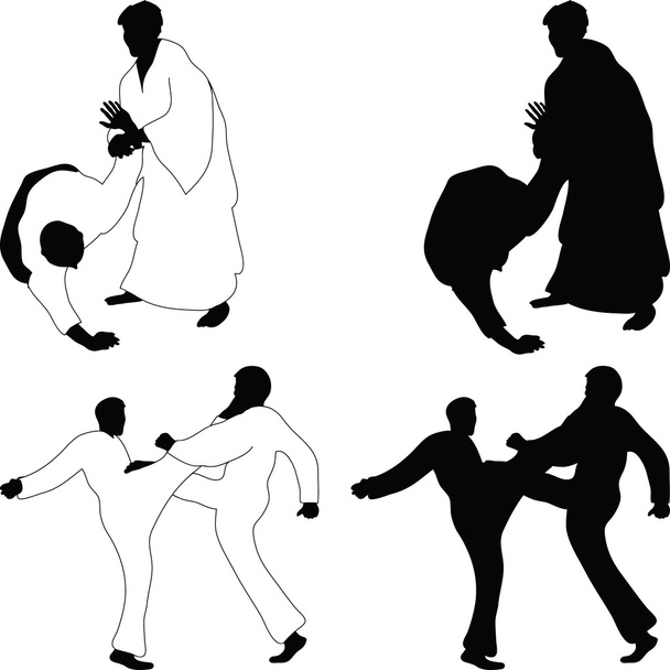 Kampfsport Aikido - Foto, Bild