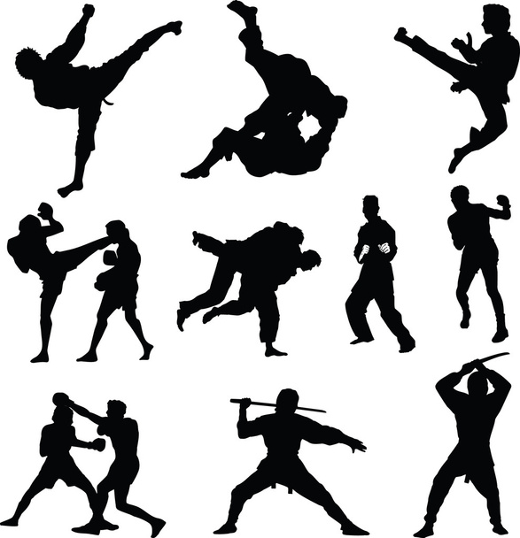 Силуэты боевых видов спорта
 - Фото, изображение
