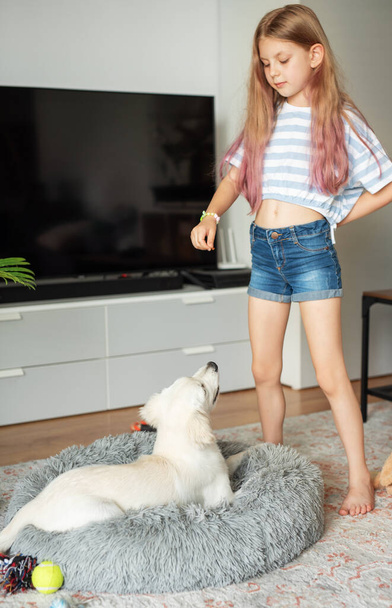 Evde Golden Retriever köpeğiyle oynayan küçük bir kız. Evdeki arkadaşlar. - Fotoğraf, Görsel