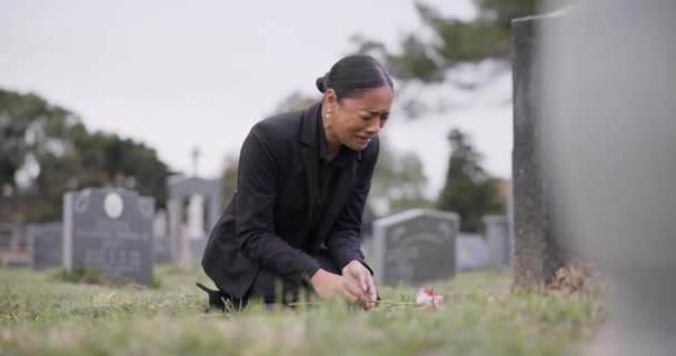 Smutná žena, hřbitov a pláč s růží u náhrobku ve smutku, ztrátě nebo smutku na pohřbu nebo na hřbitově. Žena s květinou v depresi, smrti nebo sbohem na pohřbu nebo pohřbu. - Záběry, video