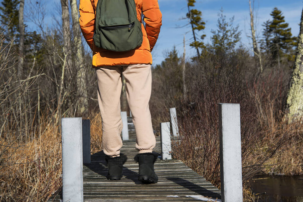 a woman walking on a boardwalk within the Hawley Bog nature preserve in Massachusetts on a winter day.  - Photo, Image