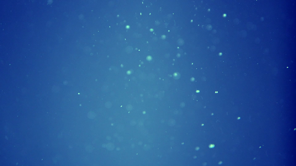 Slow motion zeepbel achtergrond - Video