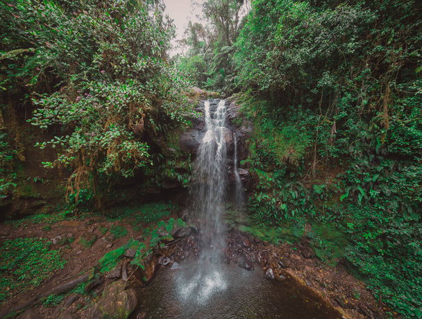 Vista panorámica de la cascada en Boquete parte de Panamá llamada las cascadas ocultas. Hermoso entorno de la selva con exuberantes verdes y grandes rocas cubiertas de musgo y encantadora cascada. - Foto, imagen