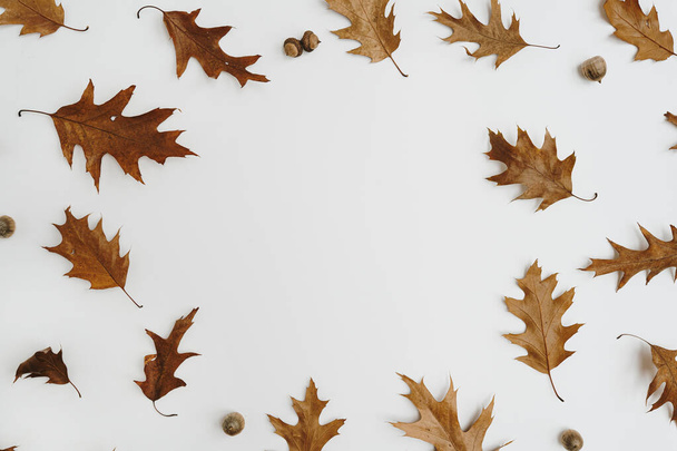Marco redondo con espacio de copia maqueta hecho de hojas de roble seco y bellotas sobre fondo blanco. Otoño, otoño - Foto, Imagen