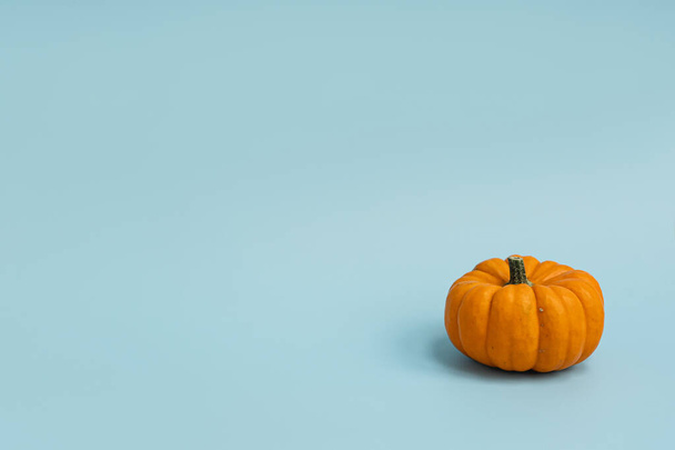 Beautiful decorative pumpkin on light blue background. Autumn fall season concept - Photo, Image