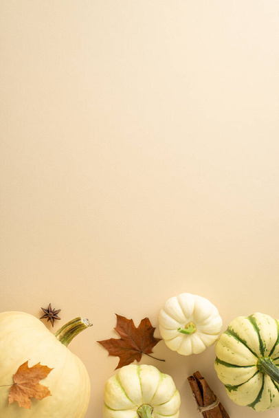 Captura el espíritu de la generosidad del otoño con esta composición vertical elevada. Arreglo de calabazas maduras y atributos de caída por excelencia sobre un fondo beige neutro, dejando espacio para texto o anuncios - Foto, Imagen