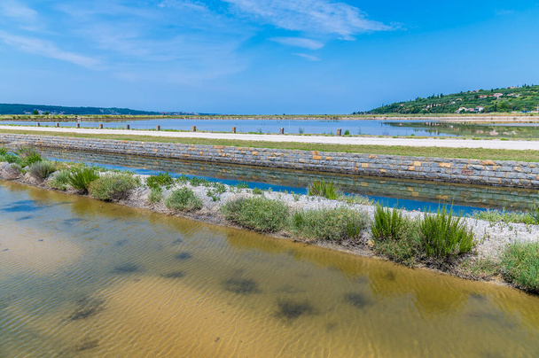 A view across the salt pans at Secovlje, near to Piran, Slovenia in summertime - Photo, Image