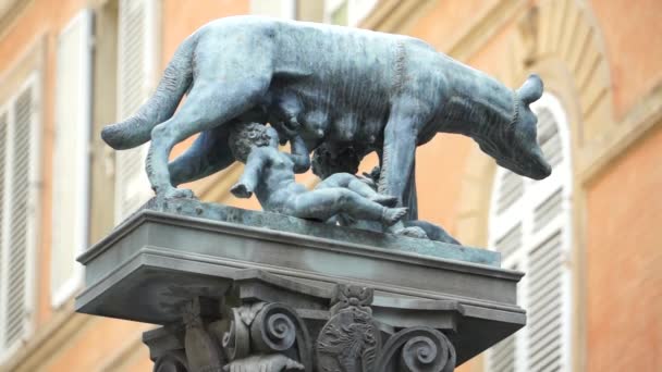 Capitoline Wolf Sculpture in Siena - Footage, Video