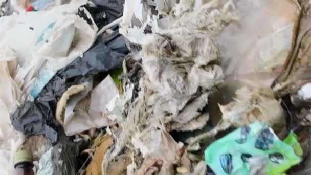 Indian Ocean, Bali, garbage on the ocean, empty used dirty plastic bottles, environmental disaster. Vertical video - Footage, Video