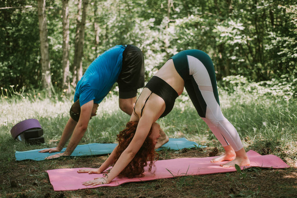 Yoga yapan çift ormanda yoga yapıyor. - Fotoğraf, Görsel