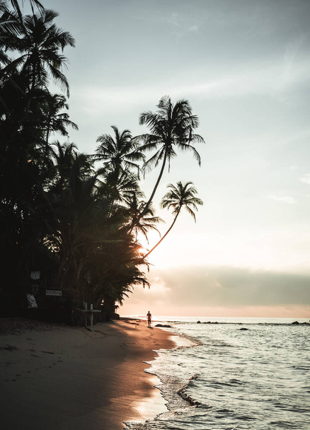 Salida del sol con palmeras y silueta de una persona en la playa de Sri Lanka. Foto de alta calidad - Foto, imagen