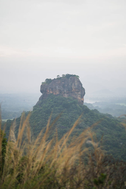 Хмурая и капризная утренняя фотография скалы Сигирия Лион со скалы Пидарангула. Высокое качество фото - Фото, изображение