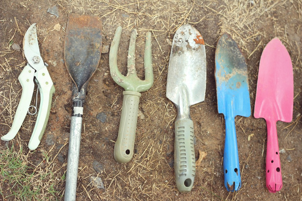Pá e garfo para jardinagem no fundo do solo
 - Foto, Imagem