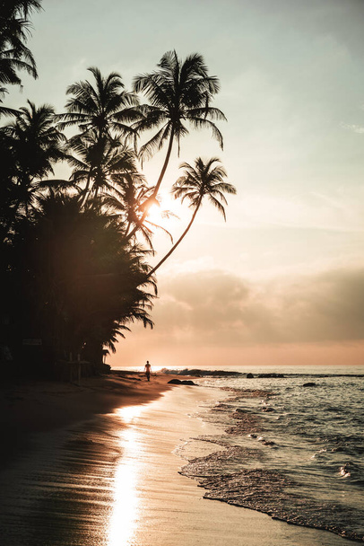 Lever de soleil avec palmiers et silhouette d'une personne sur la plage de Sri Lanka. Photo de haute qualité - Photo, image