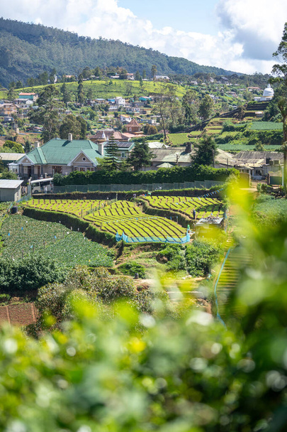 Landschaftsaufnahme von Nuwara Eliya mit Teeplantagen in den Bergen Sri Lankas. Hochwertiges Foto - Foto, Bild