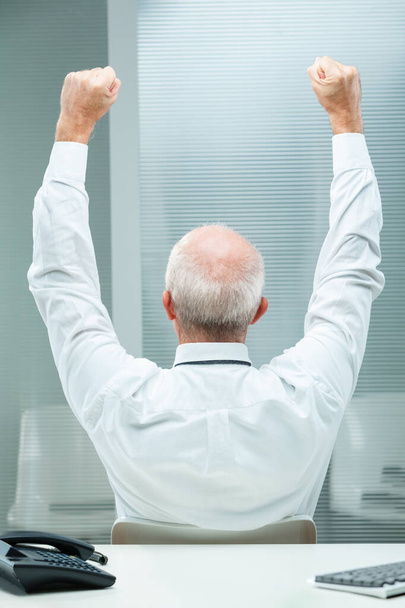 Старший бизнесмен, на которого смотрят сзади, поднимает руки в полной радости и торжестве. Видимый лысый центр обрамлен белыми волосами, символизирующими возраст и мудрость в его белой рубашке и галстуке - Фото, изображение