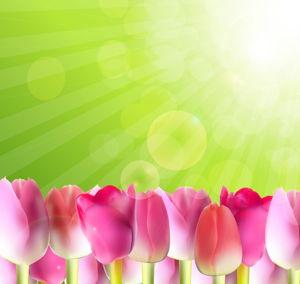 Beautiful Pink Tulips Against Shiny Sky Vector Illustration - Vector, imagen