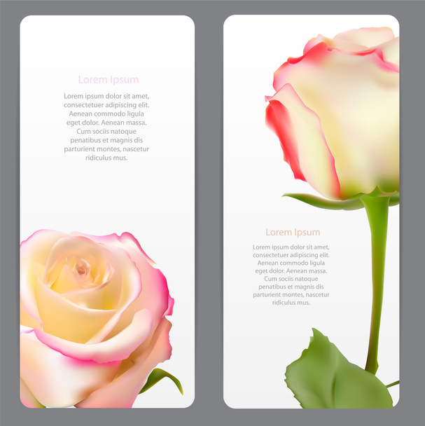 Beautiful Floral Cards with  Realistic Flowers Rose and Lilly Ve - Vector, Image