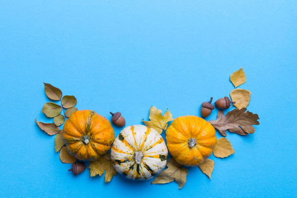 Composizione autunnale Zucche con foglie autunnali su sfondo colorato. Vista dall'alto con spazio di copia. - Foto, immagini