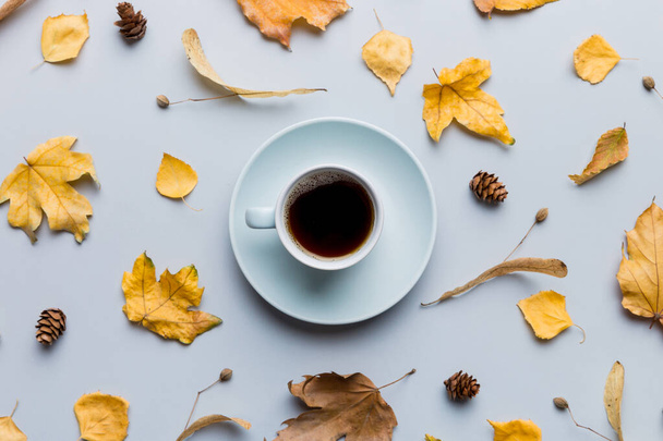 Плоская композиция с цветной чашкой кофе и листьями на цветном фоне. вид сверху. - Фото, изображение