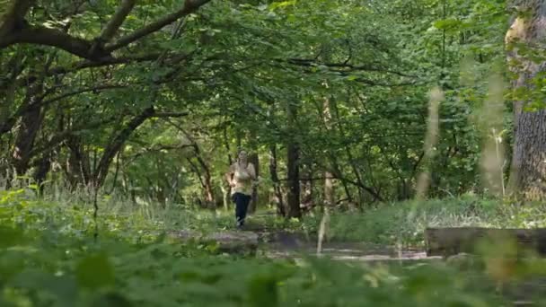 Curvy Girls Nature Run: Abbraccia il fitness nell'incantevole foresta. Filmati 4k di alta qualità - Filmati, video