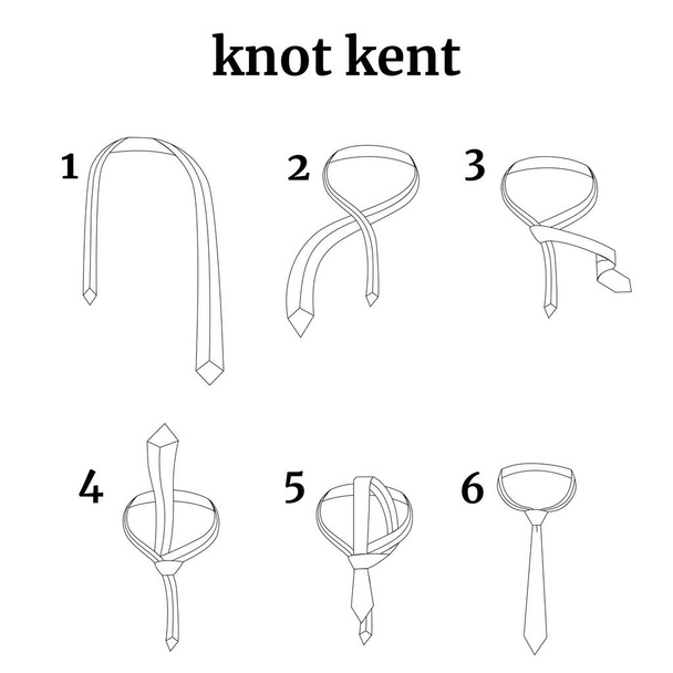 Kaavio, jossa on vaiheittaiset ohjeet solmion sitomisesta. Kent solmu. Vektoriesimerkki - Vektori, kuva