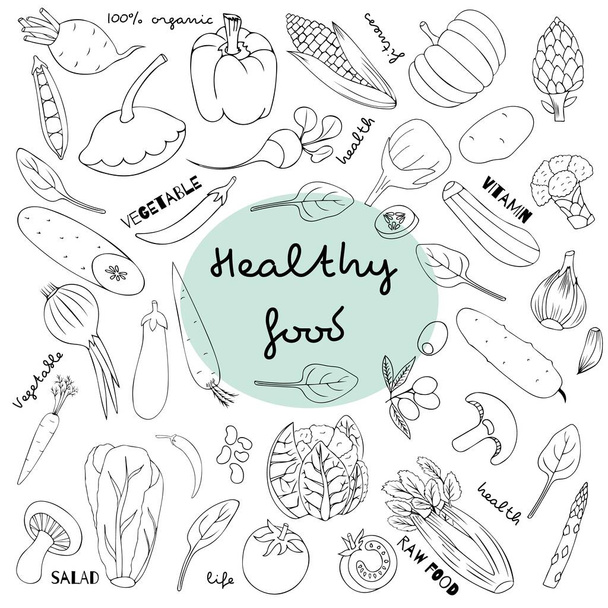 Illustration eines Vektors für gesunde Ernährung. Gemüse handgezeichnete Doodle Illustration. Biolebensmittel Set vorhanden. Gute Ernährung - Vektor, Bild