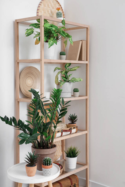 Rayonnage avec décor et plantes d'intérieur près du mur blanc - Photo, image