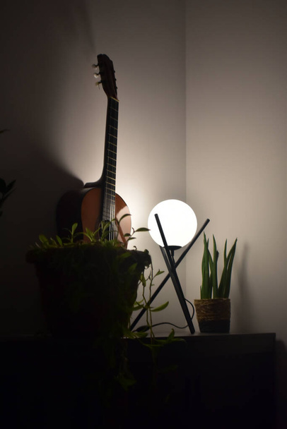 Guitarra, plantas e lâmpada casa interior. - Foto, Imagem
