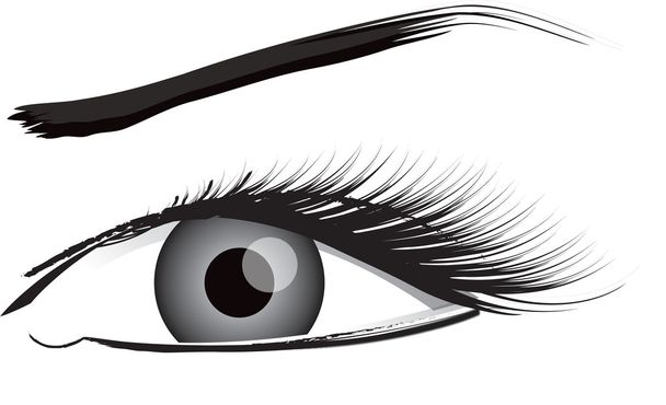 Eye Illustration In Black And White - Photo, Image