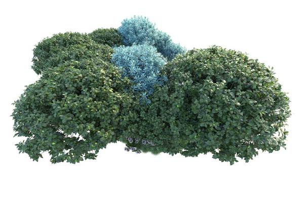 Grüne Büsche isoliert auf weißem Hintergrund. 3D-Darstellung von Waldpflanzen - Foto, Bild