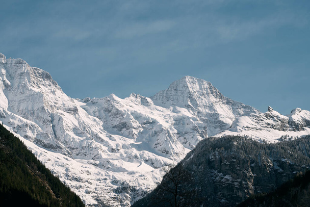 Majestosas Dolomitas Paisagem. Montanhas cobertas de neve e pinheiros nos Alpes italianos. Uma montanha coberta de neve com pinheiros em primeiro plano. - Foto, Imagem