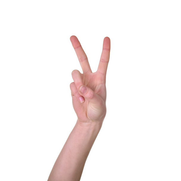 Símbolo de paz com a mão isolada no branco
 - Foto, Imagem